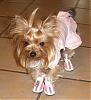 Chloe in her new shoes!-chloe-pink-boots.jpg
