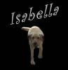 For our New PupPals-isabella.jpg