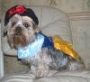 Sammi as...Snow White-sammi-snow-white-3-web.jpg