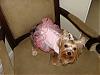 Playing Dress Up.-pinkbal5.jpg