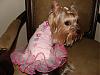 Playing Dress Up.-pinkballerina.jpg