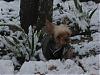 Got Snow?-snowwwwwwwwww-005.jpg