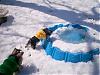 Got Snow?-100_3155.jpg