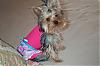 Layla Got A New Dress-dress-003.jpg