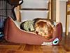 Diddy's Cookie Monster Bed-dsc00219.jpg