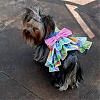 HaPpY 1st BiRtHdAy StoRMy!!!-mar-066_stormy.jpg