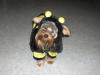Here's Gracie's Halloween costume!!-heather-015.jpg