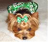 Let's see those St. Patrick's outfits ...-st.-patricks4.jpg