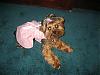 Lily's Easter Dress!! Thanks Shana!!-misc.-pictures-088.jpg