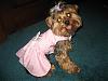 Lily's Easter Dress!! Thanks Shana!!-misc.-pictures-089.jpg