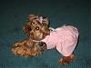 Lily's Easter Dress!! Thanks Shana!!-misc.-pictures-087.jpg