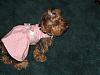 Lily's Easter Dress!! Thanks Shana!!-misc.-pictures-094.jpg