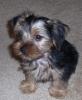 My Lil Baby Tiko-tk5.jpg