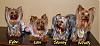 Easter Pixs of Stormy, Kylee, Lexi & Scruffy-mar-159_easter2.jpg