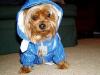 I dunno how I feel about my raincoat...-bonnie-raincoat-2.05.jpg