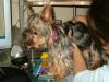 Lexi and Brianna playing house-gucci-evie-march-16.jpg