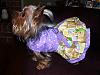 Lucy Got Her Raffle Gift From Sonya!! Wow!!!-100_4004-small-2-.jpg