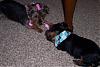 Kobi and his cousin Sophie Mae-102_3265.jpg