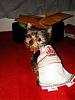 MeiLing in her monkey daze dress from Emldshdwqueen.-crdsc05016-vi.jpg