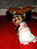 MeiLing in her monkey daze dress from Emldshdwqueen.-crdsc05016-vi.jpg