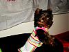 MeiLing in her monkey daze dress from Emldshdwqueen.-crdsc05058-vi.jpg