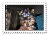 fun sites to edit photos-stamp-border.jpg