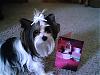 Look At What MICKEYK Sent For Livi's Birthday!!-livisb-daycard3.jpg