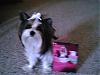 Look At What MICKEYK Sent For Livi's Birthday!!-livisb-daycard4.jpg
