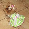 EASTER dress preview!-dsci0543_0002.jpg