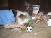 Thank you Simon, Hallie, and their Mom!!!-open-my-soccer-ball.jpg