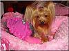 Destiny's Birthday Pictures!!!-destiny-b-03.jpg