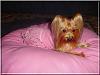 Destiny's Birthday Pictures!!!-destiny-b-07.jpg