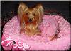 Destiny's Birthday Pictures!!!-destiny-b-021.jpg