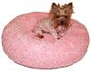 Look how cute I look in my new bed!-chloe-pink-bed.jpg