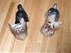 Yorkie girls - check out the boys!!!-after-bath_mar-08.jpg