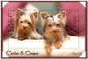 Carter & Cooper - new pics-ga8p0016-copypainting.jpg
