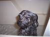 Bath Time For Jaxon & He is Not Happy!-bath-2.jpg