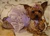 My Purple Dress...I love it-dsc00864.jpg