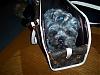 Here is Jaxon in his new LV Purse Bag!-lv-purse-3.jpg