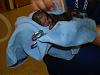 Lexie's little girl-picture-073-600-x-450-.jpg