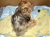 Lexie's little girl-picture-076-600-x-450-.jpg