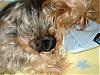 Lexie's little girl-picture-077-600-x-450-.jpg