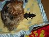 Lexie's little girl-picture-080-600-x-450-.jpg