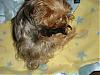 Lexie's little girl-picture-081-600-x-450-.jpg