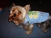 Reeses new clothes!-dsc00583.jpg