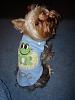 Reeses new clothes!-frog.jpg