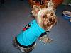 Reeses new clothes!-lgc.jpg