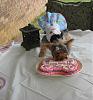 Bella's First Birthday Party!!-bella-testing-cake.jpg