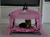 Bindi's Bed is ready to go!!-prettypinkbed.jpg