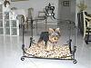 Bindi's Bed is ready to go!!-mybed.jpg